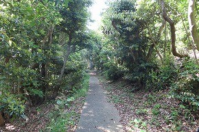 IMG_9256