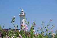 IMG_9198