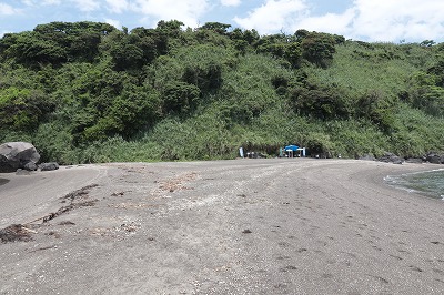 IMG_8902