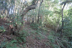 IMG_9257