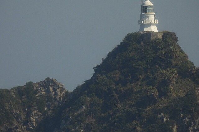 DSCN5554