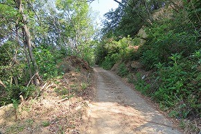 IMG_0359
