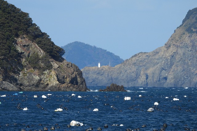 DSCN1357