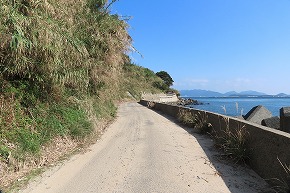 IMG_9099