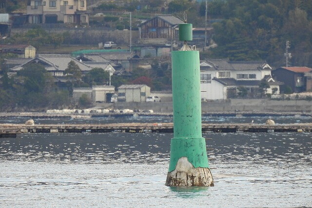 DSCN0879