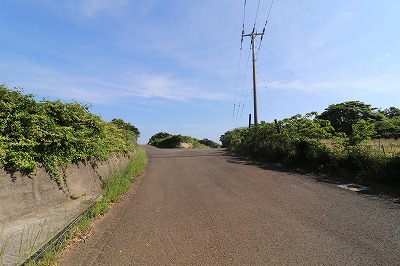 IMG_0456