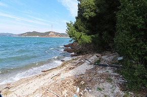 IMG_6048