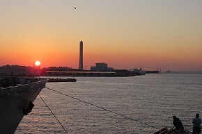 IMG_8958