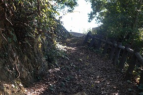 DSC00875