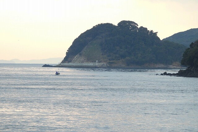 DSCN5056
