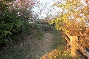 IMG_1156