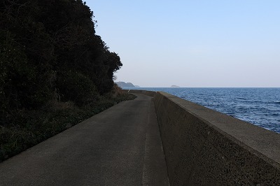DSCN6178