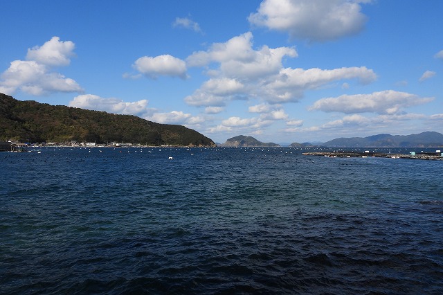 DSCN1354