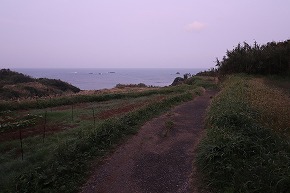 IMG_9050
