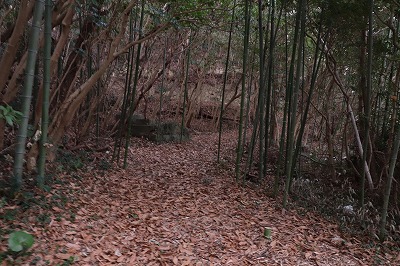 IMG_5354