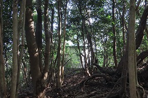 IMG_9055