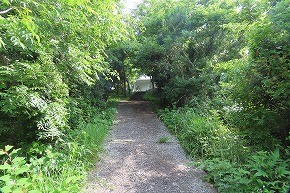IMG_9888