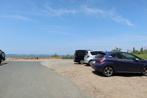 IMG_7919