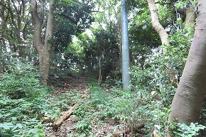 IMG_0909