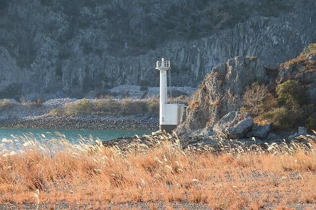 DSCN4360