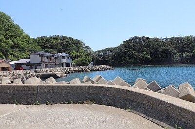 IMG_6755
