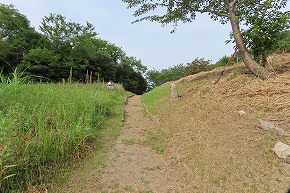 IMG_0085