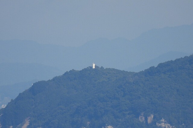 DSCN8384