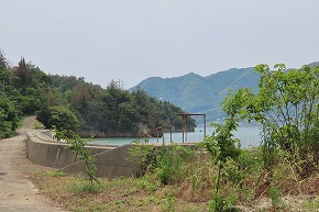 IMG_0421