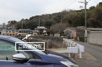 IMG_5473 (2)