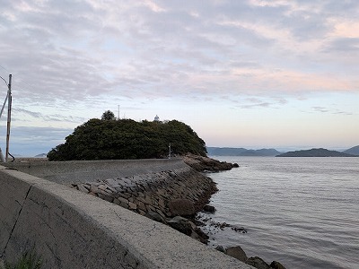 PXL_20260420_093721057