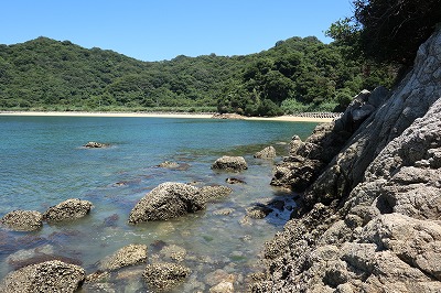 IMG_0239