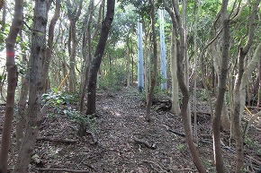 IMG_9052
