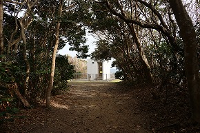 IMG_1392
