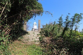 IMG_9102