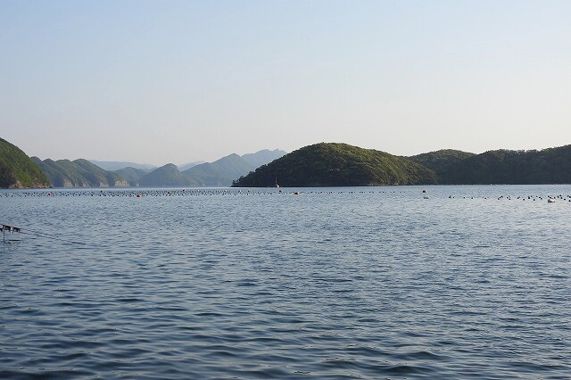 DSCN6856
