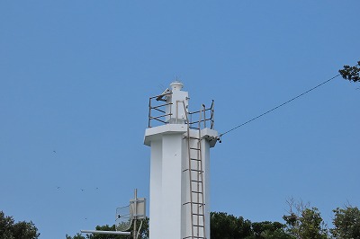 IMG_0920