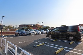 IMG_9036 (1)