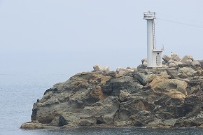 img_0664