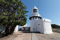 IMG_8483 (1)
