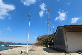 IMG_6011