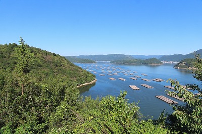 IMG_0899
