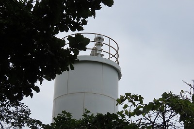 IMG_3886