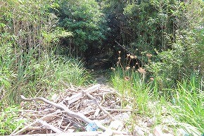 IMG_8080