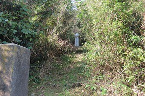 IMG_9135