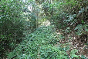 IMG_0894