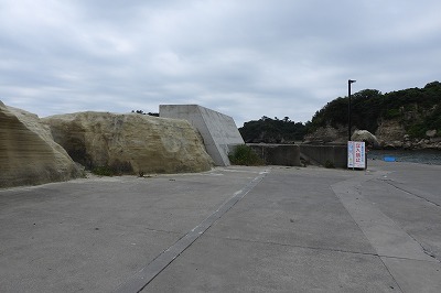 DSCN3524