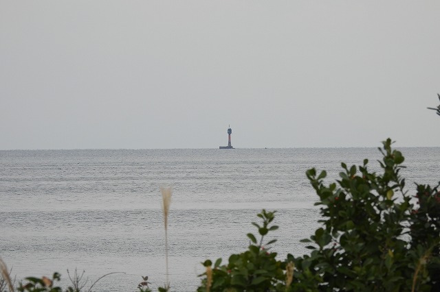 DSCN1164