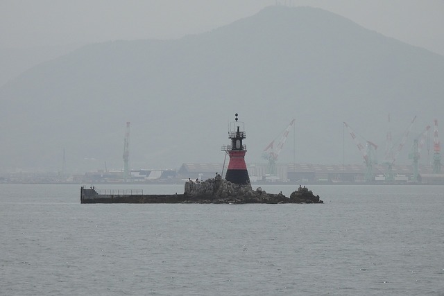 DSCN9667