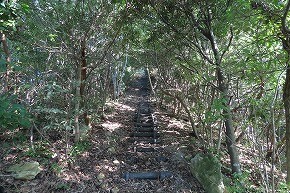 IMG_8353