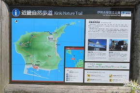 IMG_0982